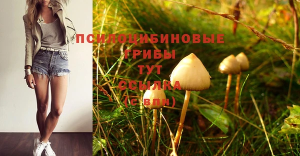 марки lsd Баксан