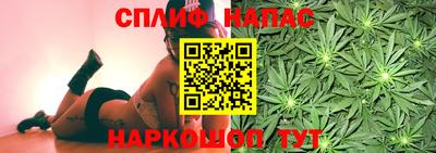 спиды Ярославль