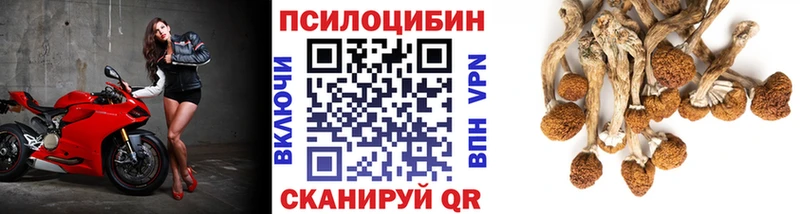 Галлюциногенные грибы GOLDEN TEACHER  Бор 
