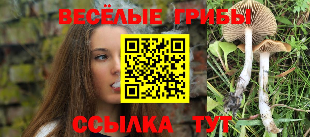 Галлюциногенные грибы прущие грибы  Псилоцибиновые грибы MAGIC MUSHROOMS  Бор  Вход с VPN 
